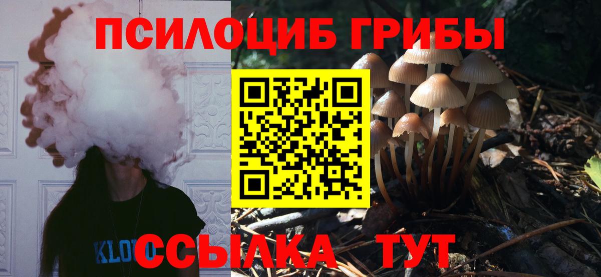 Галлюциногенные грибы ЛСД Лабытнанги